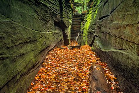 hoosier national forest